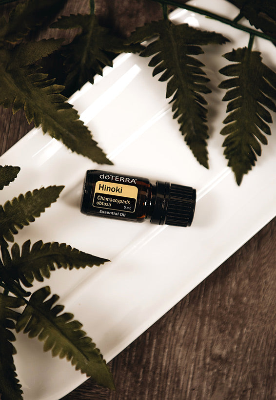 doTERRA Hinoki Essential Oil