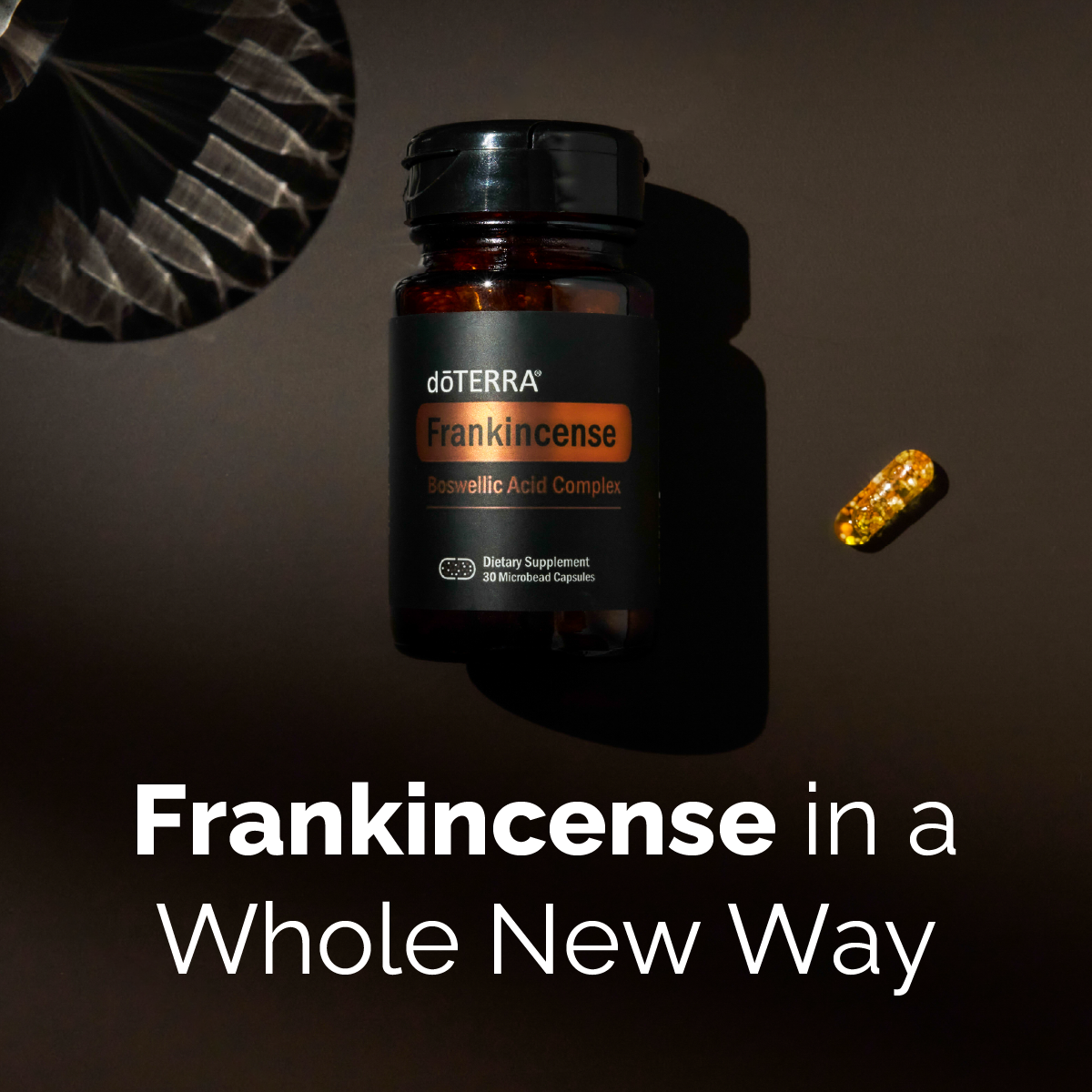 Frankincense Boswellic Acid Complex