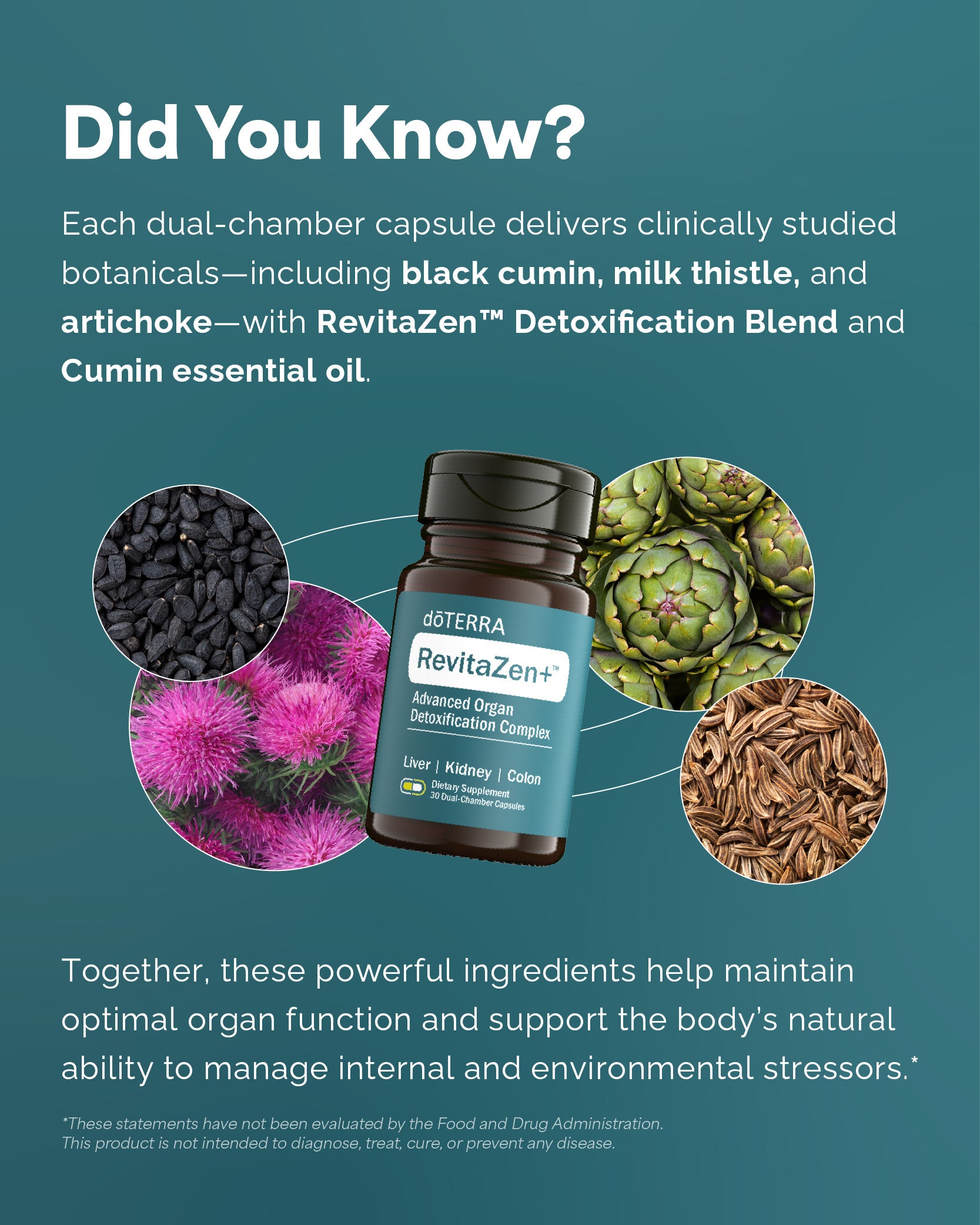 RevitaZen+ Advanced Organ Detoxification Complex